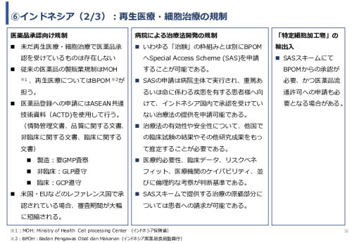 令和６年度「網膜再生医療の国内外の普及に向けた医療プラットフォーム構築事業」事業報告書